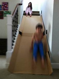 Cardboard Trays