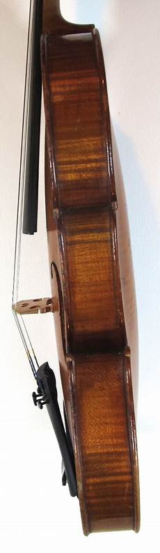 Cardboard Viol