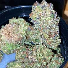 Cream Bucket