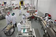 Food Processing Machines