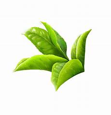 Lipton Green Tea Packaging