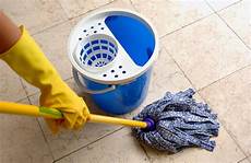Mop Bucket