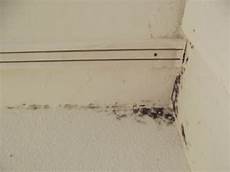 Mould Cardboard