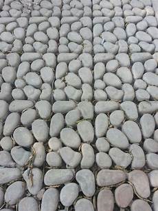 Mould Cardboard