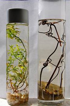 Packaging Of Wine Bottles