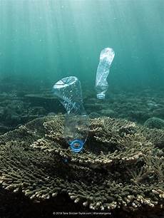 Plastic Bottles For Food