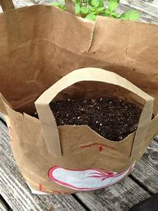Polypropylene Sacks And Bags