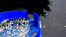 Scrap Bucket